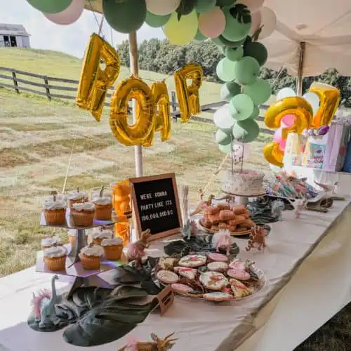 Tent Rental for a birthday party