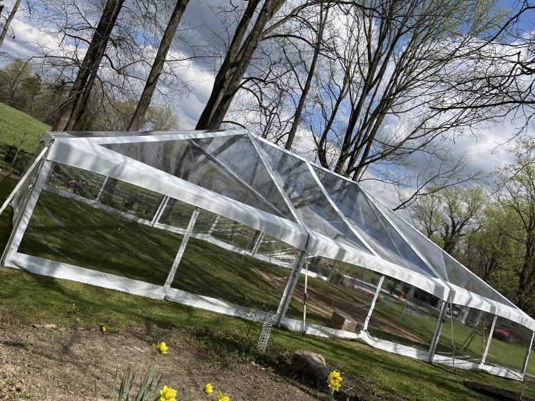 40x60 Clear Top Frame Tent Rental
